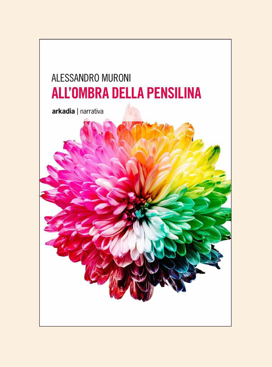 All'ombra della pensilina libro